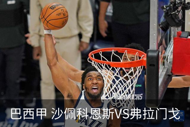 巴西甲 沙佩科恩斯VS弗拉门戈