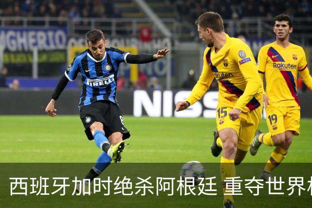 西班牙加时绝杀阿根廷 重夺世界杯冠军
